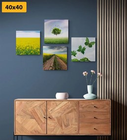 Комплект картини – Ослепителна природа