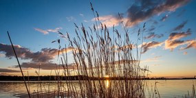 Картина на платно – Спокойна река до село