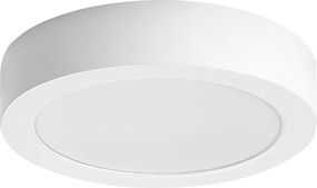 Rabalux Shaun2 Вградени и повърхностно монтирани лампи IP20 LED 15W 4000K 71193