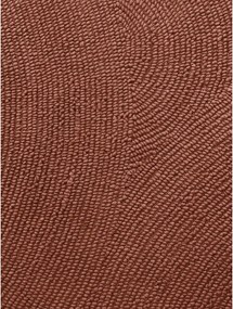 Ръчно изработен вълнен килим в тухлен цвят 200x300 cm Calmio – Hanse Home