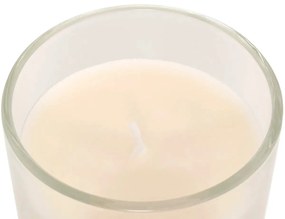 Ароматна свещ atmosphera Floa, Стъкло, 115 g - Monoi