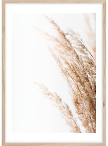 Плакат в рамка 50x70 cm Beige II - Styler