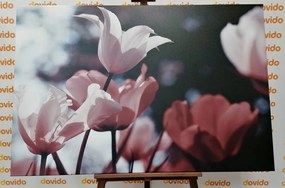 Картина на платно – Пролетни лалета в парка