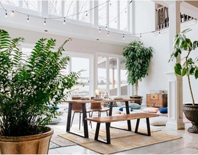 Пейка от масивно дърво в естествен цвят Artur – Bizzotto