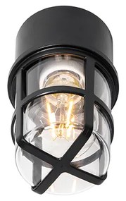 Таванна и стенна лампа черна с прозрачен абажур IP54 - Kiki