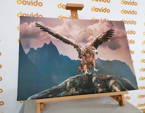 Картина на платно – Орел с разперени крила над планините