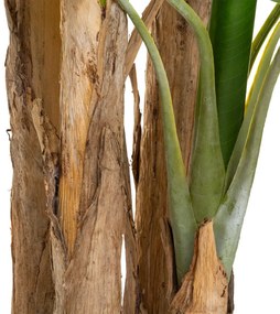 Изкуствено растение atmosphera Banana Tree, 285 cm