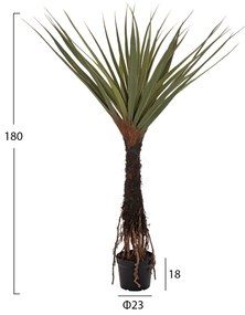 Растение Палма HM7988 зелен цвят