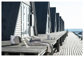 Светлосива памучна кърпа 70x140 cm Inu - Zone