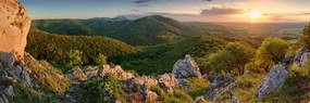 Картина на платно – Природа, залята от слънце