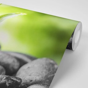 Фототапет – Медитационна зен композиция