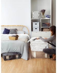 Картонени кутии за съхранение с капак в комплект от 2 броя Stripes - Compactor