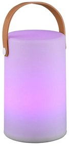 LED външно осветително тяло с дистанционно управление със соларен панел (височина 21 cm) Aruba – Trio