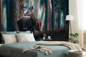 Самозалепващ фототапет – Елен в боровата гора