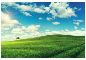 Фототапет – Прекрасен ден на ливада