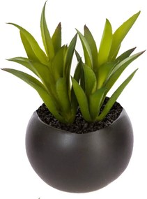 Изкуствено растение atmosphera Succulent, 6 cm, Различни видове