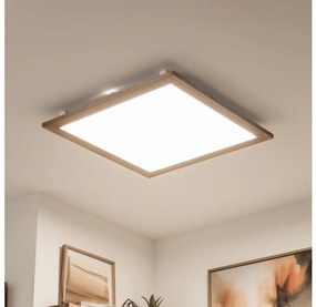 Brilagi - LED Димируема лампа SLIMFRAME WOOD LED/58W/230V 64x64 см + д.у.
