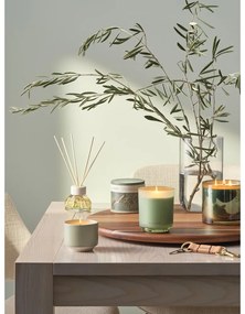 Дифузер Hinoki Sage – ILLUME x Bloomingville