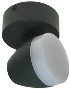 LED Лампа за таван SURMUR LED/6W/230V зелена
