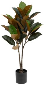 Изкуствено растение atmosphera Agnolia, 76 cm