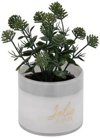 Изкуствено растение atmosphera Tayli Succulent, 18 cm, Различни видове