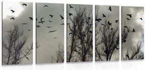 картини от 5 части – Ято врани