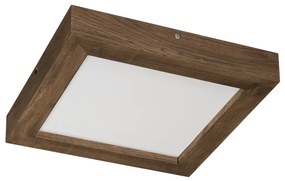 Brilagi-LED Димируема лампа WOODY FRAME LED/24W/230V дъб 30x30 см IP44 + д.у.