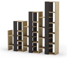 Черно-естествен стелаж от декор от дъб 158x151 cm Anissa – Marckeric