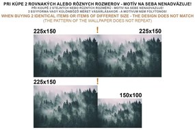 Фототапет – Зимен пейзаж