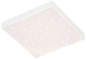 Briloner 7381-016 - LED Димируем плафон STARRY SKY LED/15W/230V + д.у.