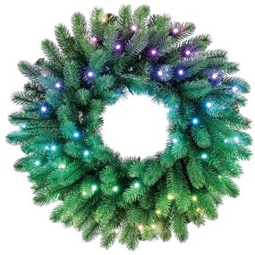 Twinkly GD20P4425P00 - LED RGB регулируема коледна верига 50xLED, 60 см, Wi-Fi