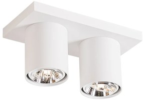 Модерен таванен прожектор бял 2-светлина - Tubo