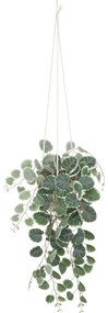 Изкуствено растение atmosphera Lour, 80 cm