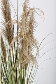 Изкуствено растение (височина 145 cm) Austorderia – Bizzotto