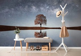Фототапет – Звездно небе над самотно дърво