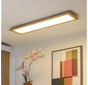 Brilagi - LED Димируема лампа SLIMFRAME WOOD LED/58W/230V 124x34 см + д.у.