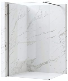 Параван за душ Rea Flexi Transparent / Titan 120