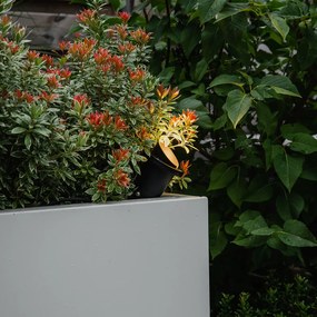 Градински прожектор шип Spot черен с кабел и щепсел IP65 - Done