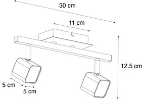 Модерна таванна лампа черна с LED 2-светлина - Nola
