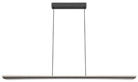 Rabalux 72026 - LED полилей на кабел NORAEL LED/40W/230V 3000K