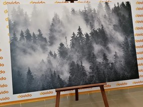 Картина на платно – Планини в мъгла в черно-бяло изпълнение