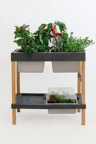 Повдигната леха – Plastia