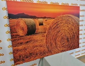 Картина на платно – Бали сено
