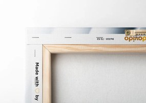 Картина на платно – Изискано абстракция