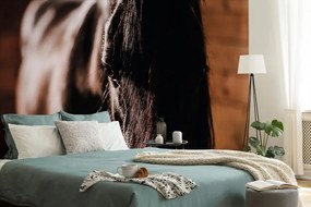 Фототапет – Величествен кон