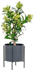 Изкуствено растение Skimmia - House Nordic
