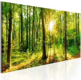 Печат върху платно - Green Magic 120x40