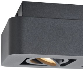 Заоблен повърхностно монтиран прожектор черен 2-лампи въртящ се и накланящ се - Dox