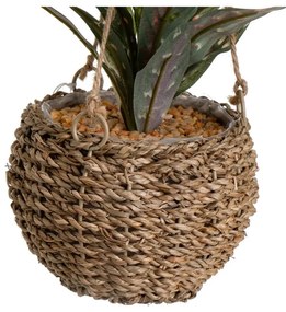 Изкуствено растение (височина 25 cm) – Casa Selección