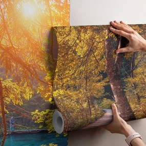 Фототапет - Пътека край реката